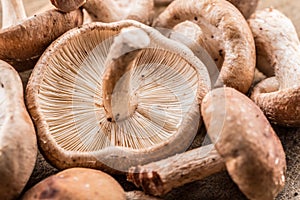 Shiitake mushrooms. Macro. Food background