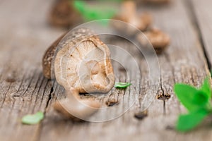 Shiitake mushrooms, selective focus