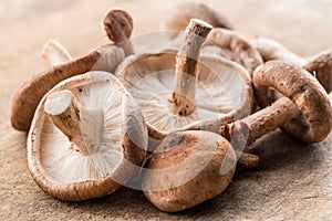 Shiitake mushrooms on the wooden background.