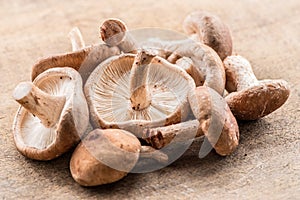 Shiitake mushrooms on the wooden background