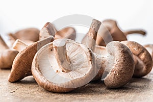 Shiitake mushrooms on the wooden background