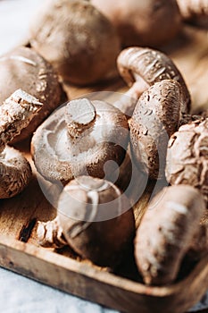 Shiitake mushrooms in a wooden bowl