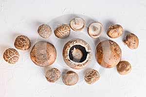 Shiitake and portobello  mushrooms set on white background. Top view