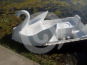 Shikara boat at Manasbal Lake in Kashmir