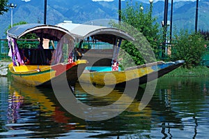 Shikara boats in Dal lake-3