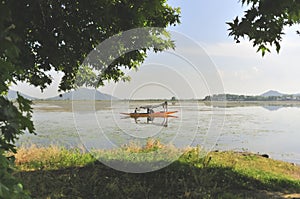 Shikara boats in Dal lake, Srinagar, Kashmir