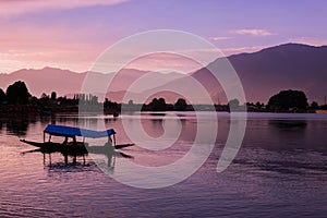 Shikara boats on Dal Lake with Sunset Dal Lake in Srinagar Jammu and Kashmir photo