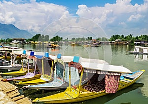 Shikara Boats / Lifestyle in Dal Lake, Srinagar, Kashmir, India photo