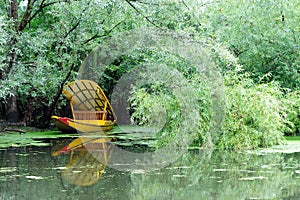 Shikara at Dal Lake, Srinagar, Jammu an Kashmir, India