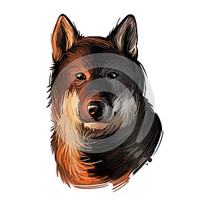 Shikoku dog originated from Japan, Japanese dog digital art. Hand drawn animalistic watercolor portrait, closeup of pet muzzle