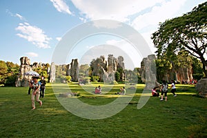 stone forest