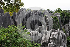 Shilin Stone Forest photo