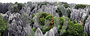 Shilin Stone Forest photo