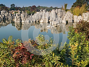 Shilin Stone Forest