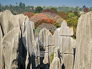 Shilin Stone Forest