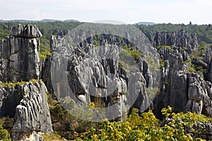 Shilin Stone Forest in Kunming, Yunnan, China