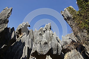 Shilin Stone Forest in Kunming, Yunnan, China