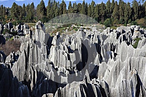 Shilin Stone Forest National Park photo