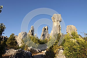 Shilin stone forest near kunming yunnan