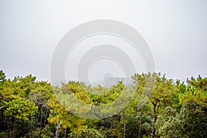 Shillong View Point, Laitkor Peak shillong meghalaya india.