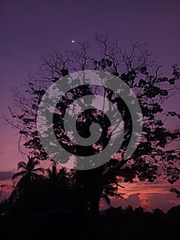 The shillouette of the dusk