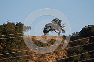 Shiloh Ranch Regional The park includes oak woodlands, forests of mixed evergreens, ridges with sweeping views of the Santa Rosa