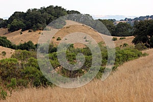 Shiloh Ranch Regional The park includes oak woodlands, forests of mixed evergreens, ridges with sweeping views of the Santa Rosa