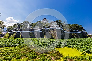 Shimabara castle , famous attraction in Nagasaki, Kyushu