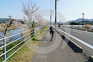 The Shimanami Kaido the most popular bicycle route in japan.