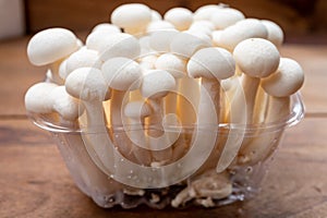 Shimeji edible mushrooms native to East Asia, buna-shimeji is widely cultivated and rich in umami tasting compounds