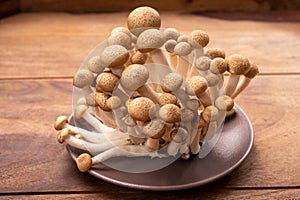 Shimeji edible mushrooms native to East Asia, buna-shimeji is widely cultivated and rich in umami tasting compounds