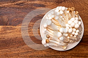 Shimeji edible mushrooms native to East Asia, buna-shimeji is widely cultivated and rich in umami tasting compounds