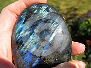 Shimmering labradorite on the grass with a little pink flower