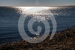 Shimmering waters, Lake McGregor Provincial Recreation Area, Alberta, Canada