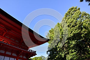 Shimogamo-jinja Shrine of fresh verdure in the evening, Kyoto, Japan