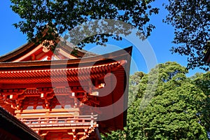 Shimogamo-jinja Shrine of fresh verdure in the evening, Kyoto, Japan