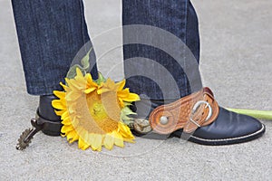 Boots, Spurs and Sunflower photo
