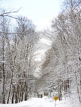 Shindagin Hollow State Forest winter scene seasonal entry road