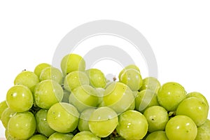 Shine Muscat Grape isolated on white background