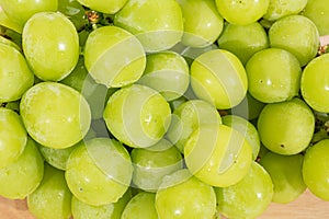 Shine Muscat Grape isolated on white background