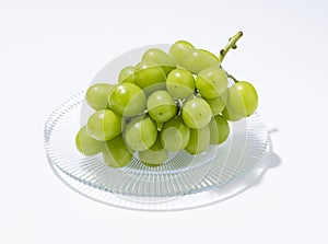 Shine Muscat grapes on a glass plate set against a white background