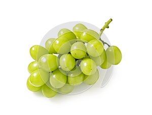 Shine Muscat grapes on a white background