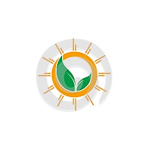 Shine sun green leaf organic natural symbol logo vector