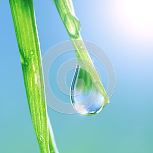 Shine water drop