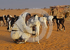 Harsh life in the Sahara Desert