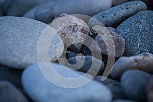 A shingle beach or beach stone