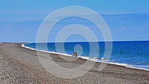 Shingle Beach, North Norfolk Coast, Cley-next-the-Sea, England