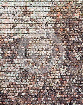 Shingle roof texture