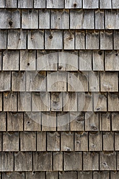 Shingle Siding