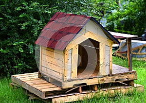 Shingled Dog House on Pallet